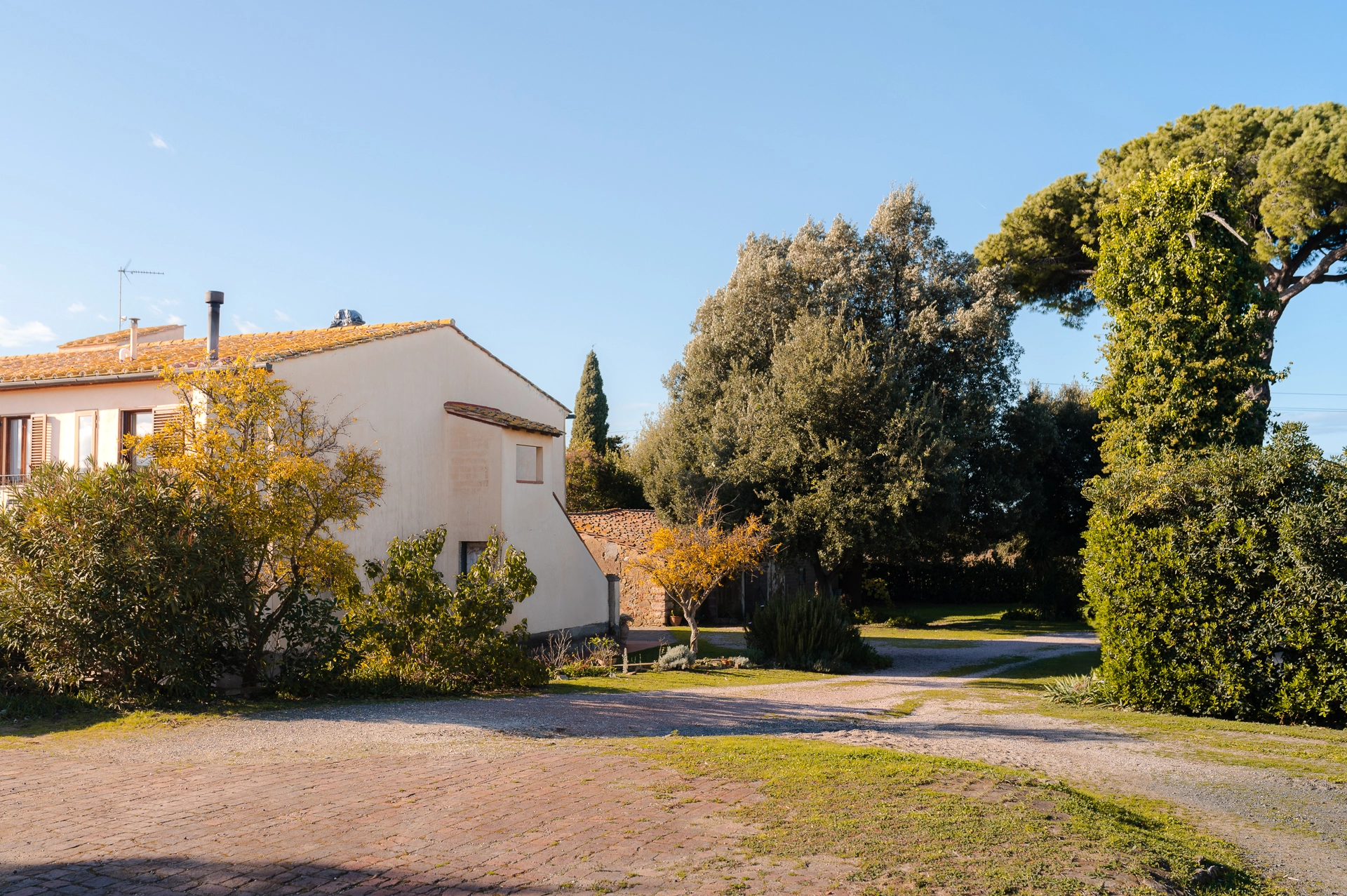 Enrico-Santini-esterno-azienda