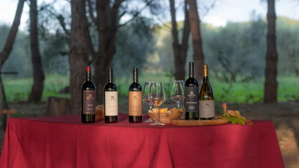 Enrico Santini: Visita & Degustazione